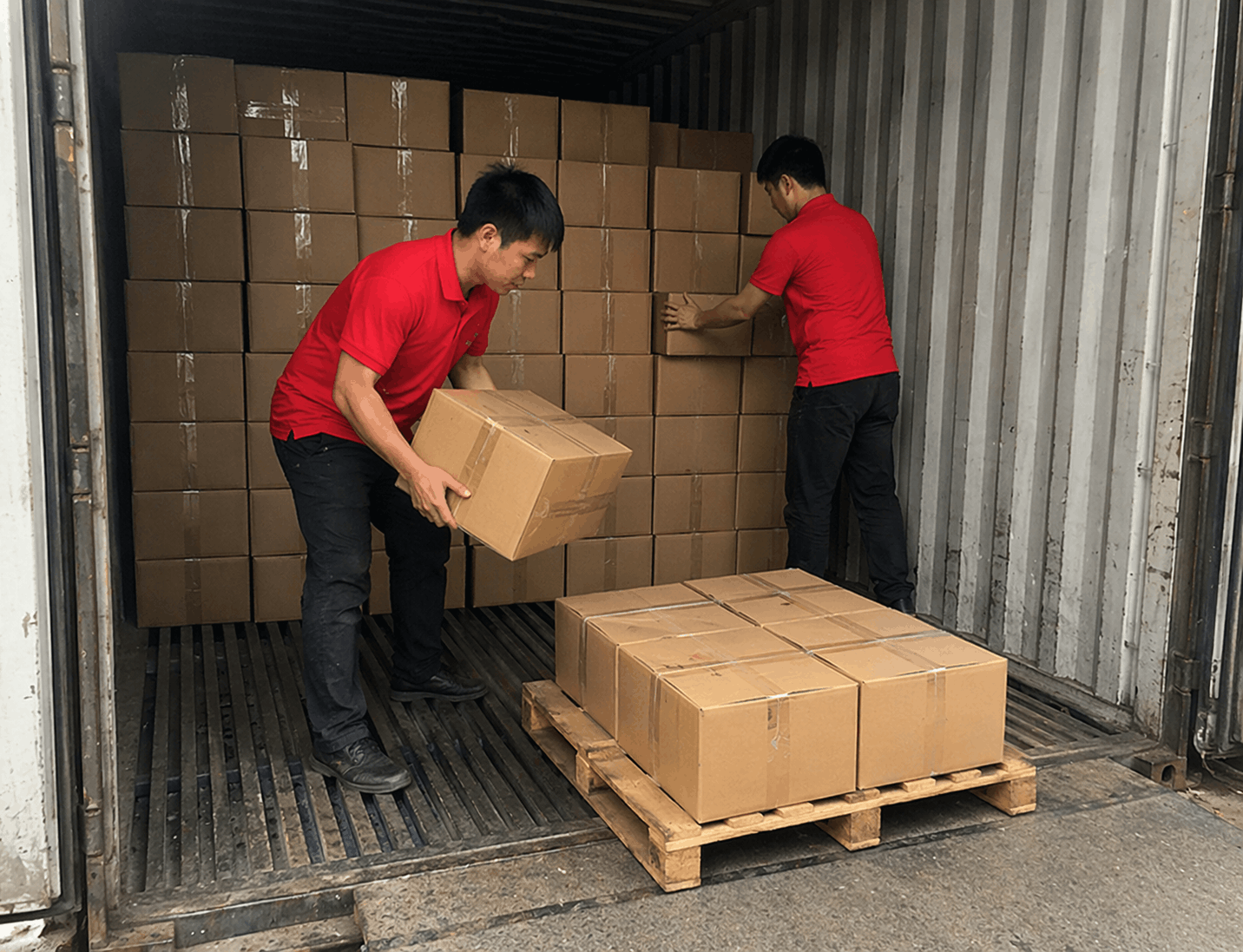 Bốc xếp Hưng Yên nhân viên MCX Move xếp hàng trong container