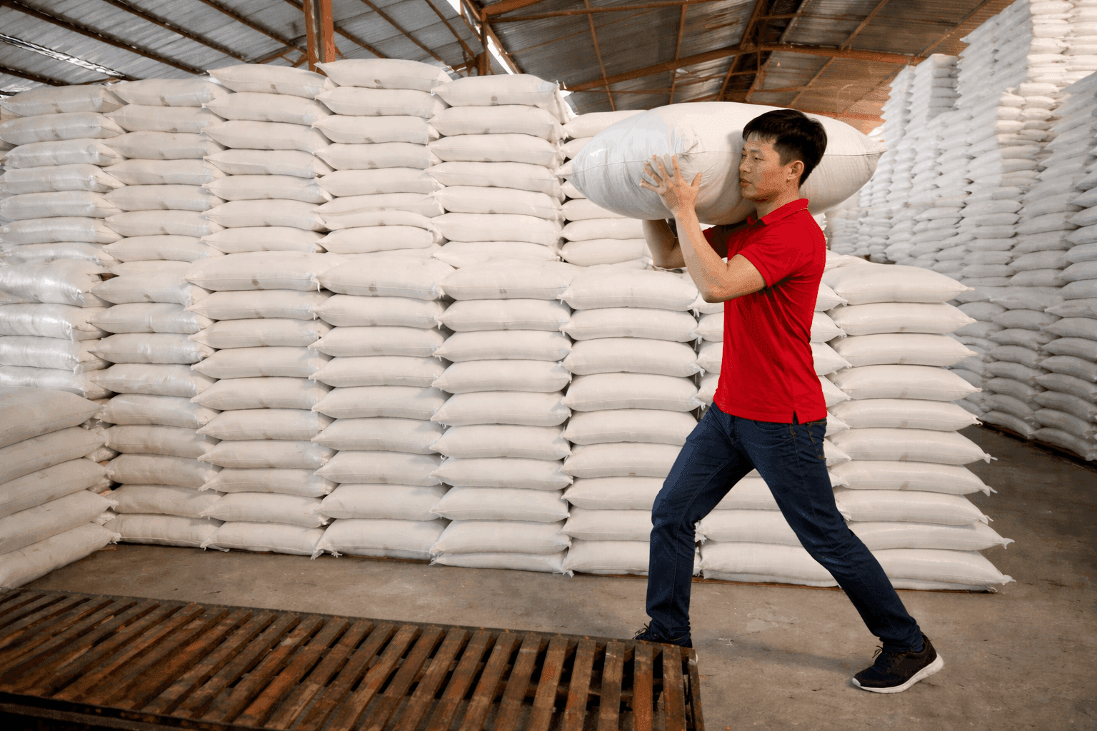 Nhân công bốc xếp Thái Bình của MCX Move đang vác bao hàng trong kho
